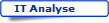 IT Analyse