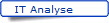 IT Analyse